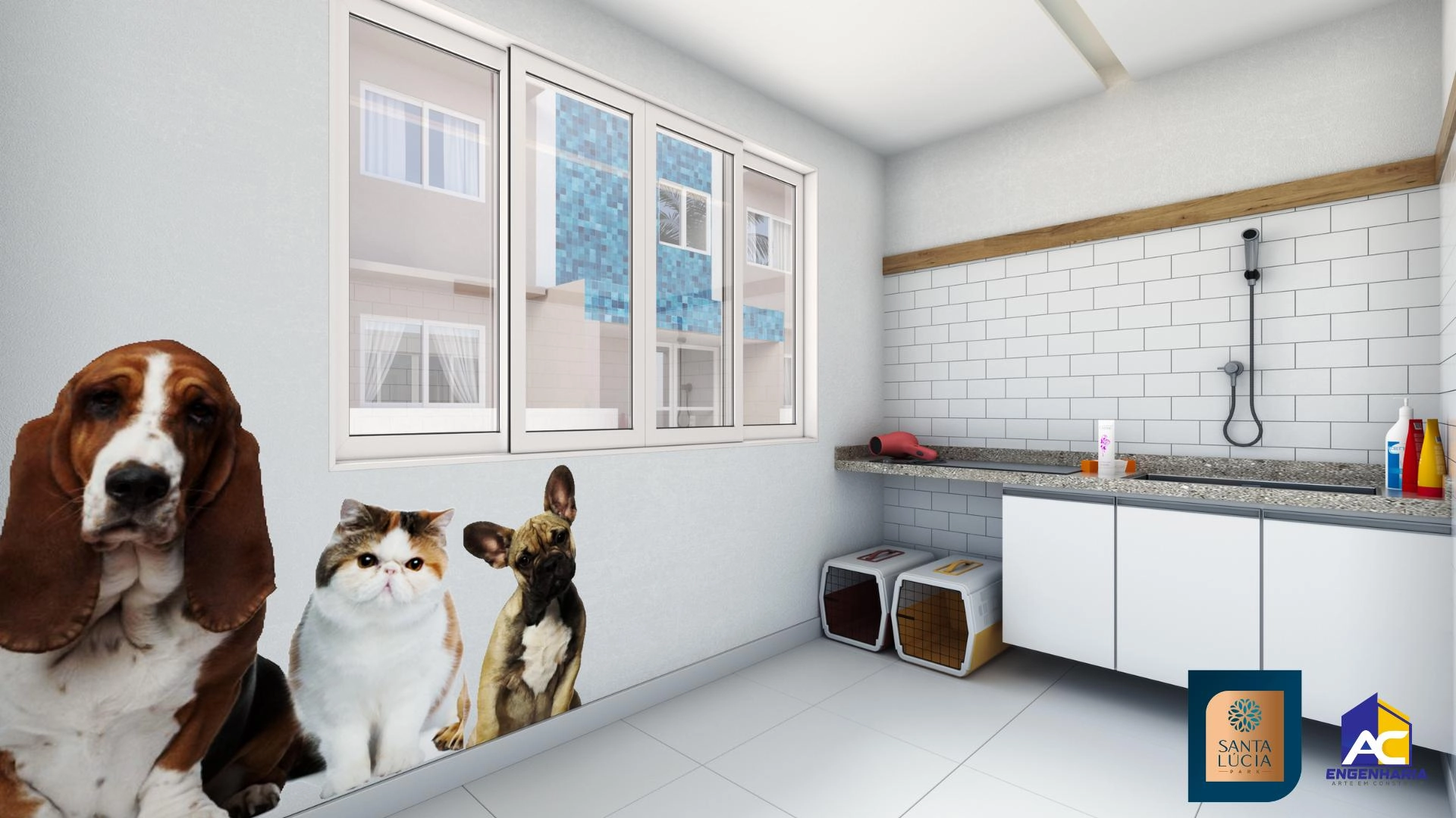 Pet care